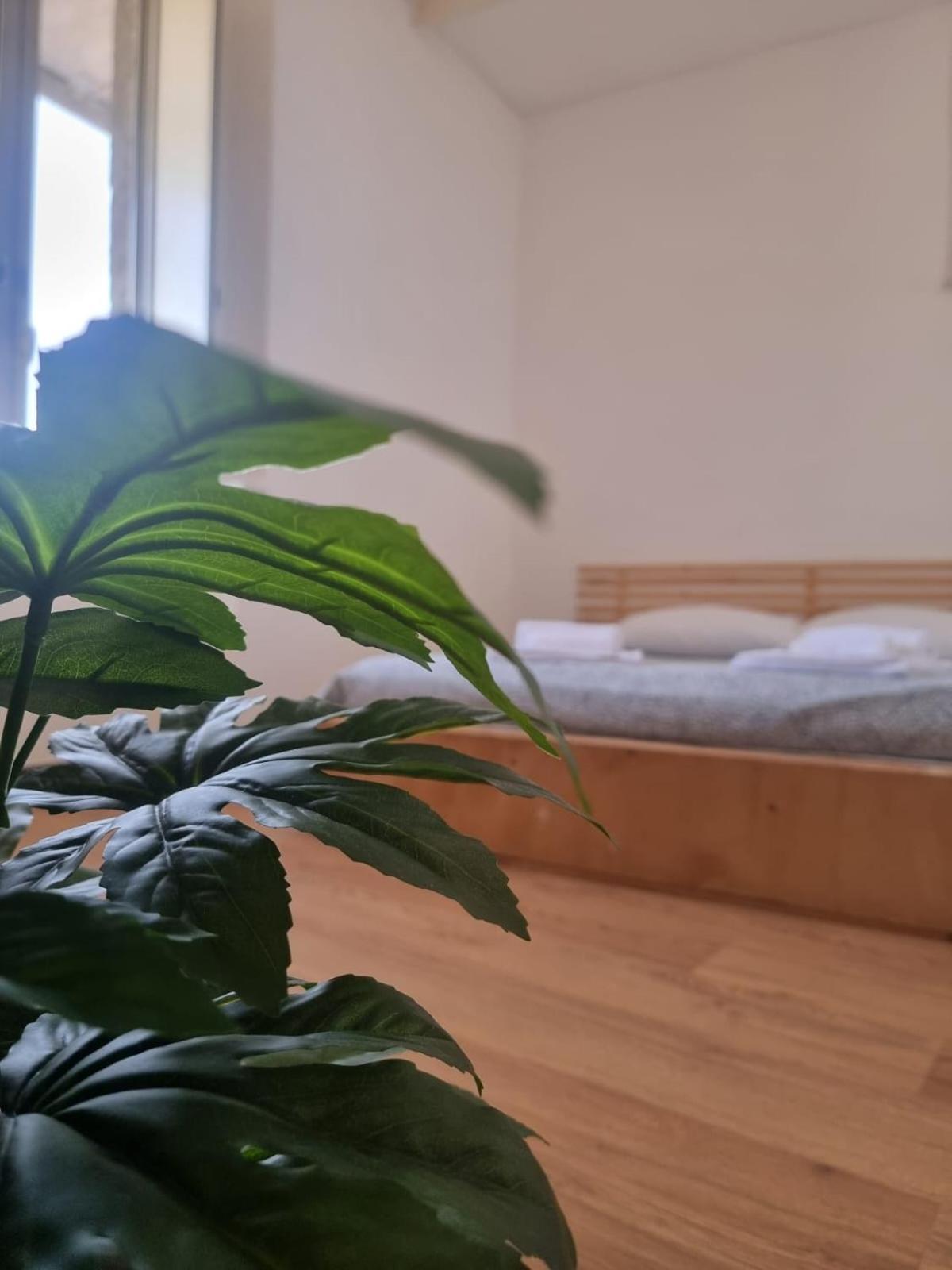 Yourban Loft คาตาเนีย ภายนอก รูปภาพ